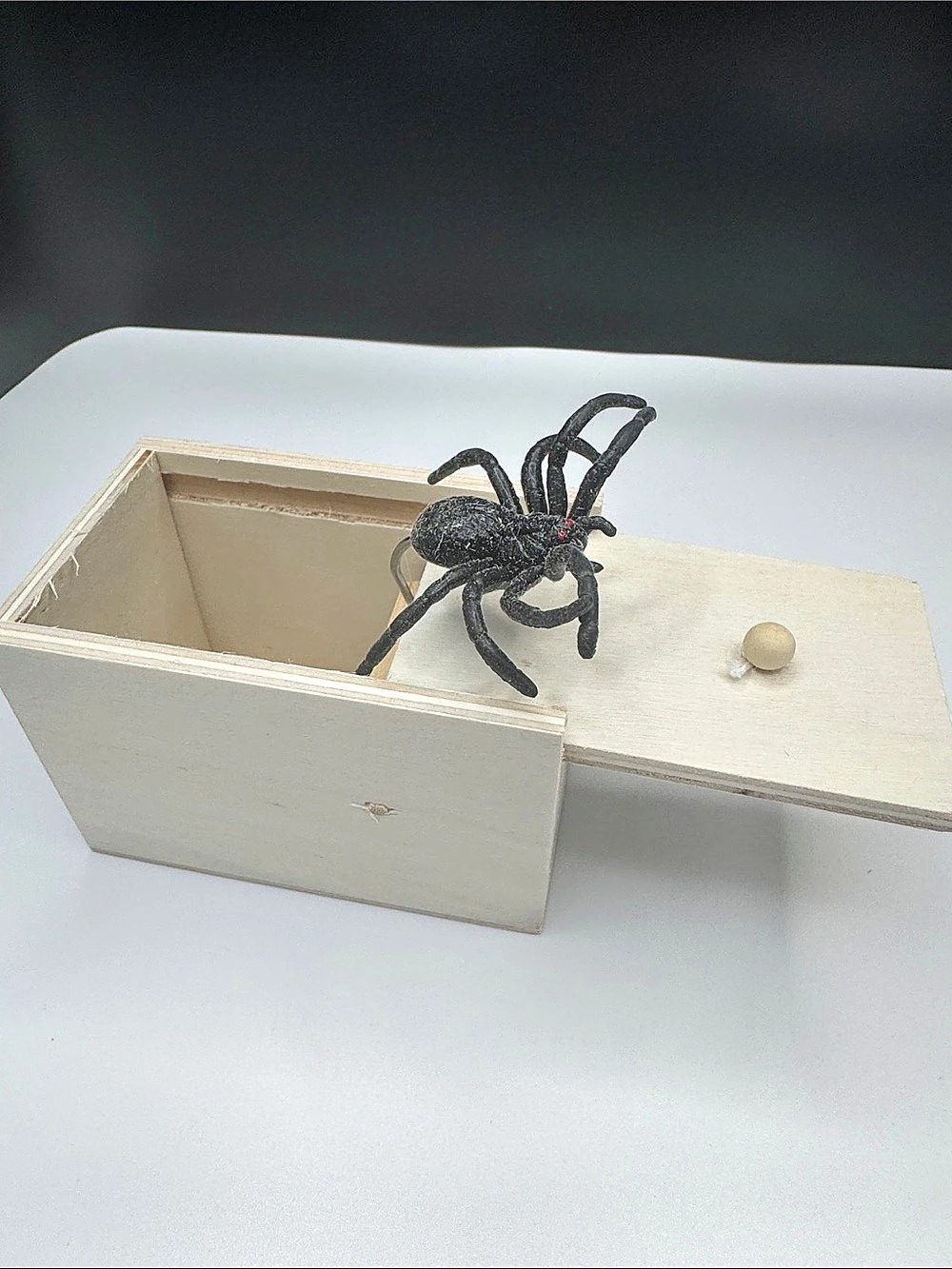 Halloween Spider Wooden Storage Box in White